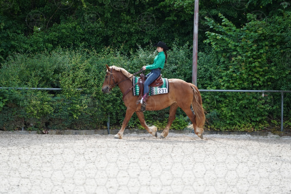 s_A9_09101.jpg